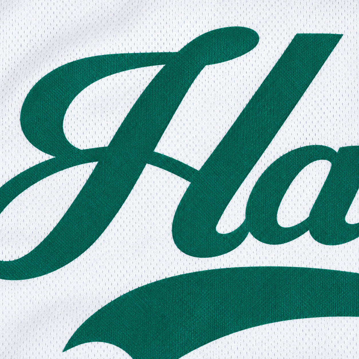 Hockey print sample 2